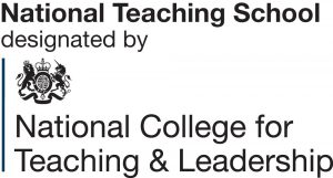 national-teaching-school-logo-high-res - white-background